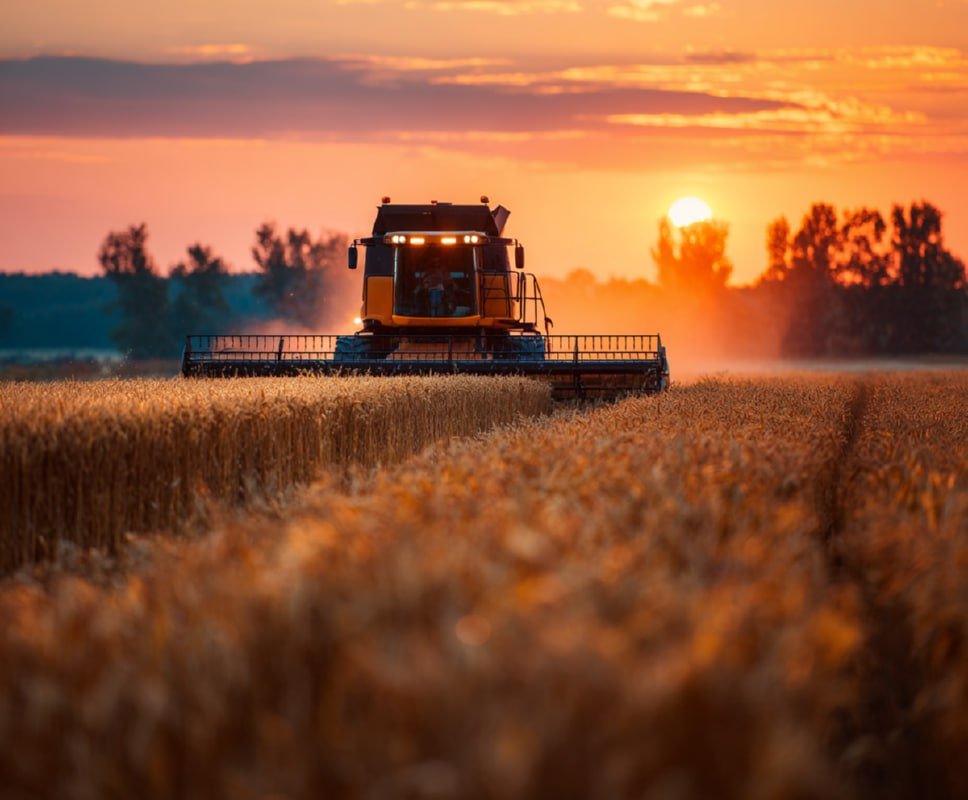 Производительные плющилки зерна, ячменя и овса